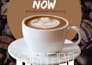 make custom canva designs for your brand or business